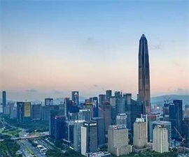 深圳市开云kaiyun手机入口南方汽车进出口有限公司